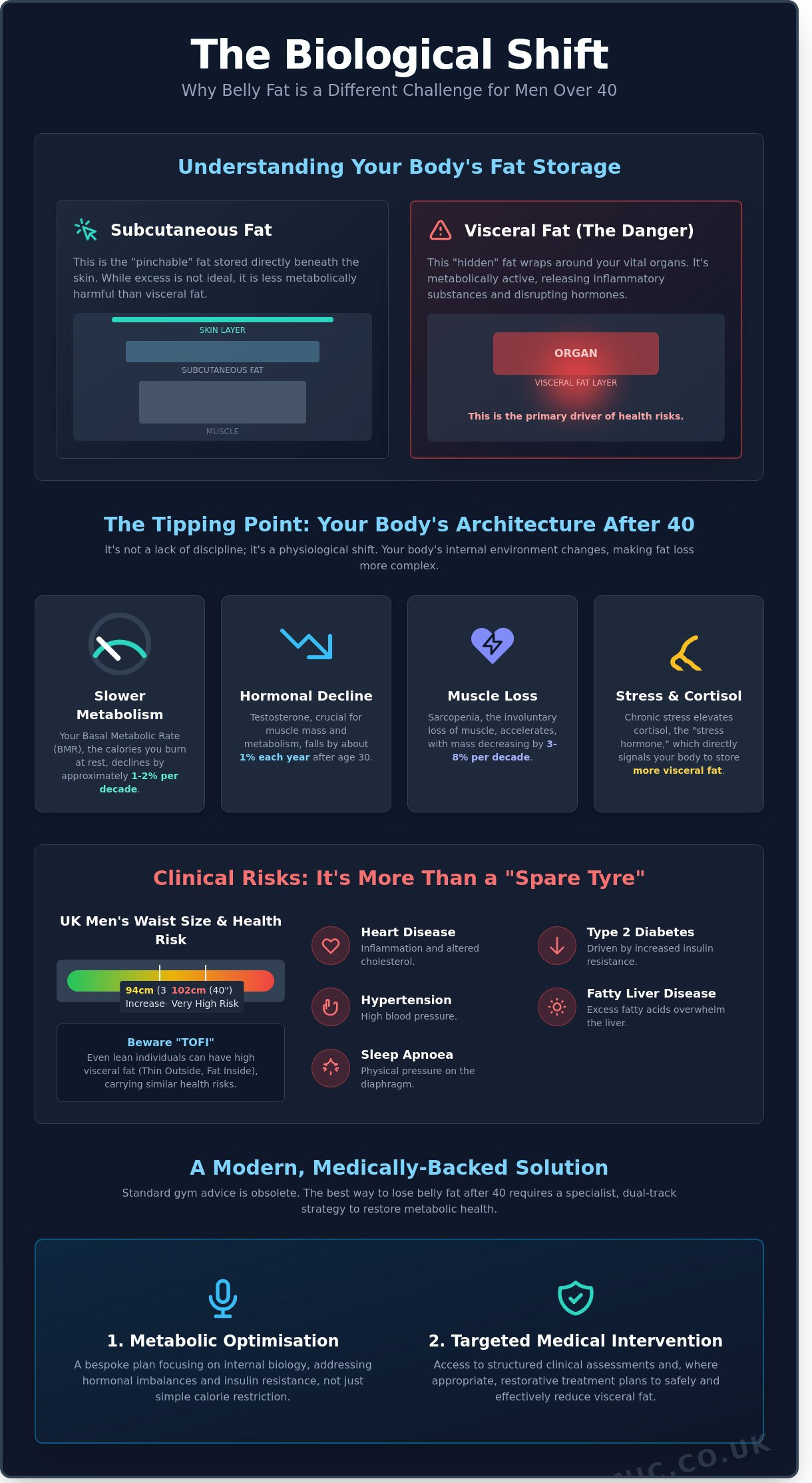 The Best Way to Lose Belly Fat for Men Over 40: A Clinical Perspective - Infographic